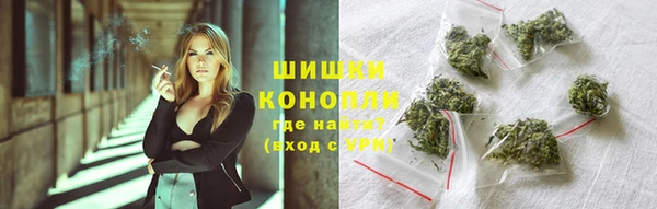 прущие грибы Алзамай