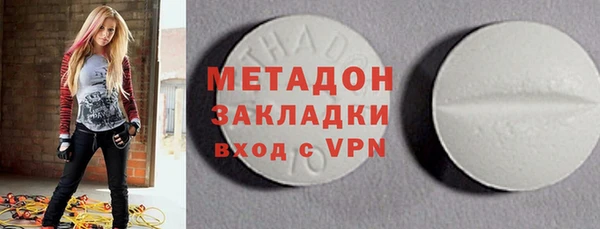 прущие грибы Алзамай