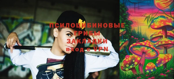 МДПВ Абаза