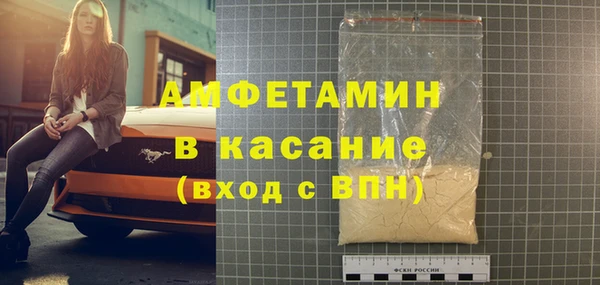 прущие грибы Алзамай