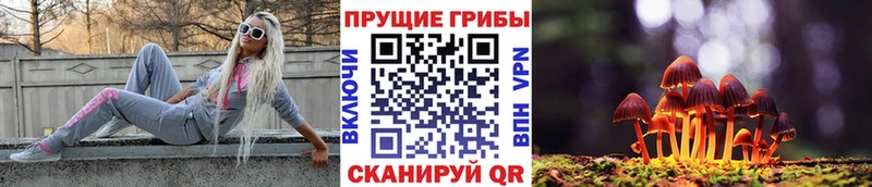 как найти закладки  Кохма  Псилоцибиновые грибы ЛСД 