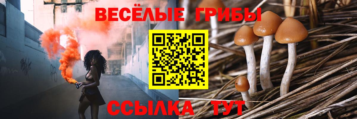 Псилоцибиновые грибы прущие грибы  Вход с VPN  Кохма  Галлюциногенные грибы Magic Shrooms 